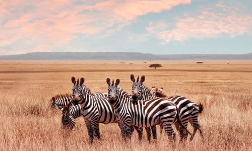 Serengeti National Park