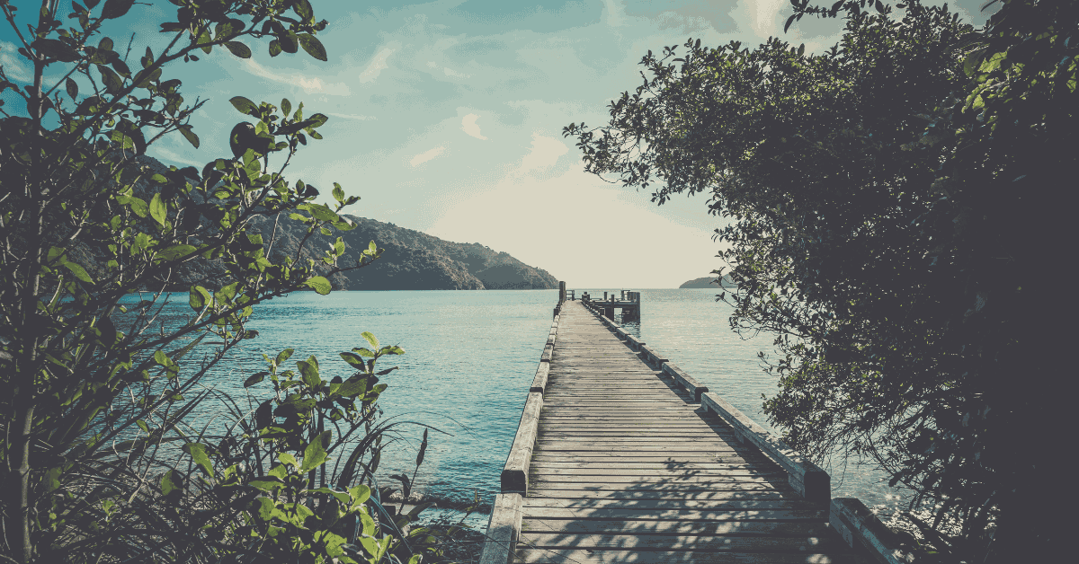 queen-charlotte-track-new-zealand