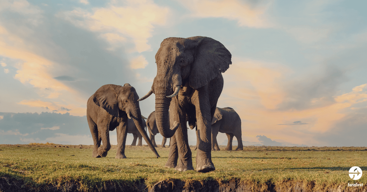 kruger-national-park-south-africa