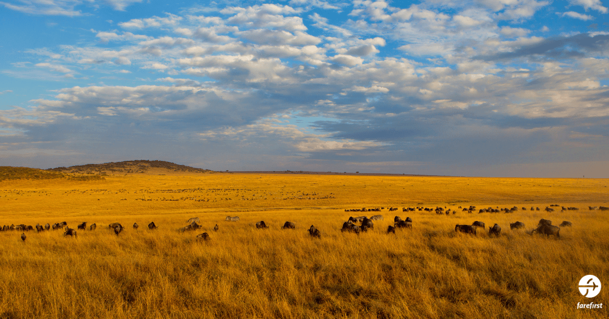 maasai-mara-national-reserve-kenya