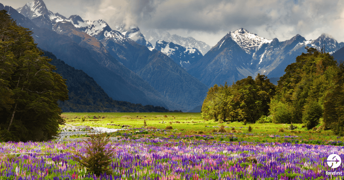 valley-of-flowers-trek-a-floral-wonderland