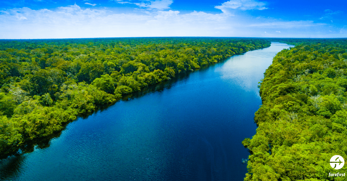 amazon-rainforest-south-america