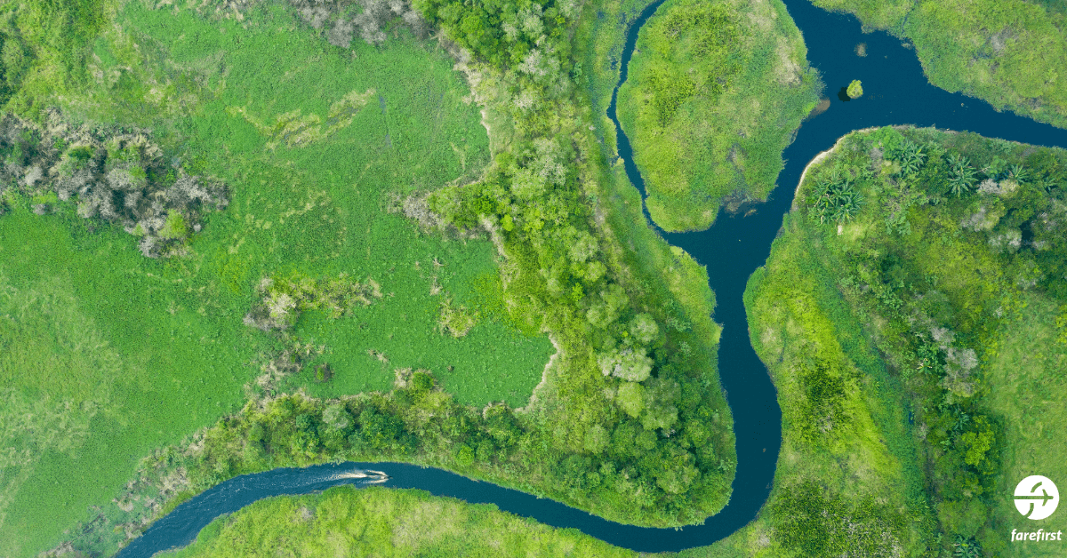 borneo-rainforest-southeast-asia