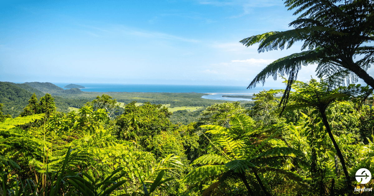 daintree-rainforest-australia