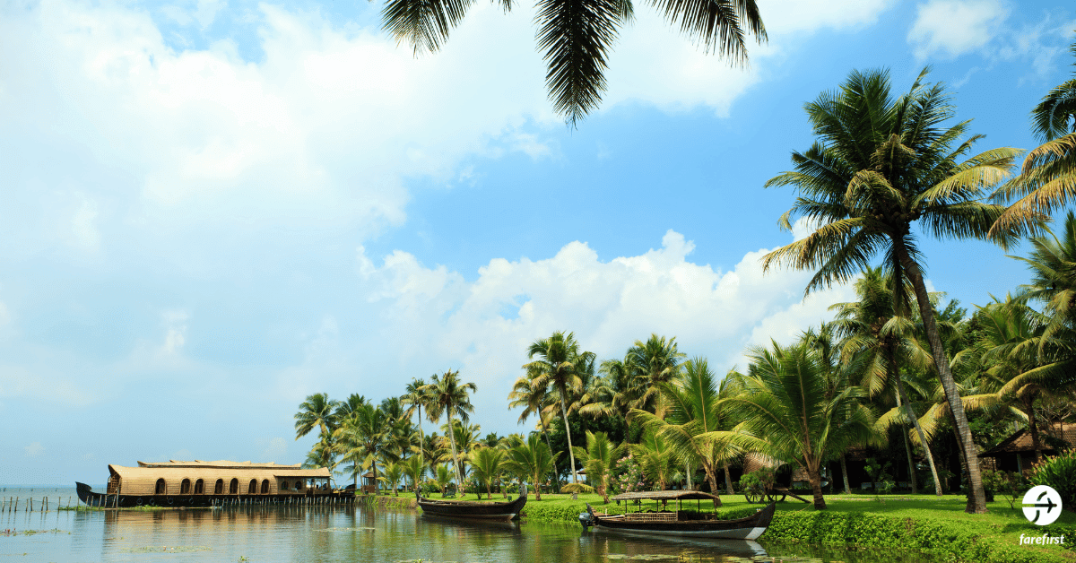 cruise-through-the-backwaters