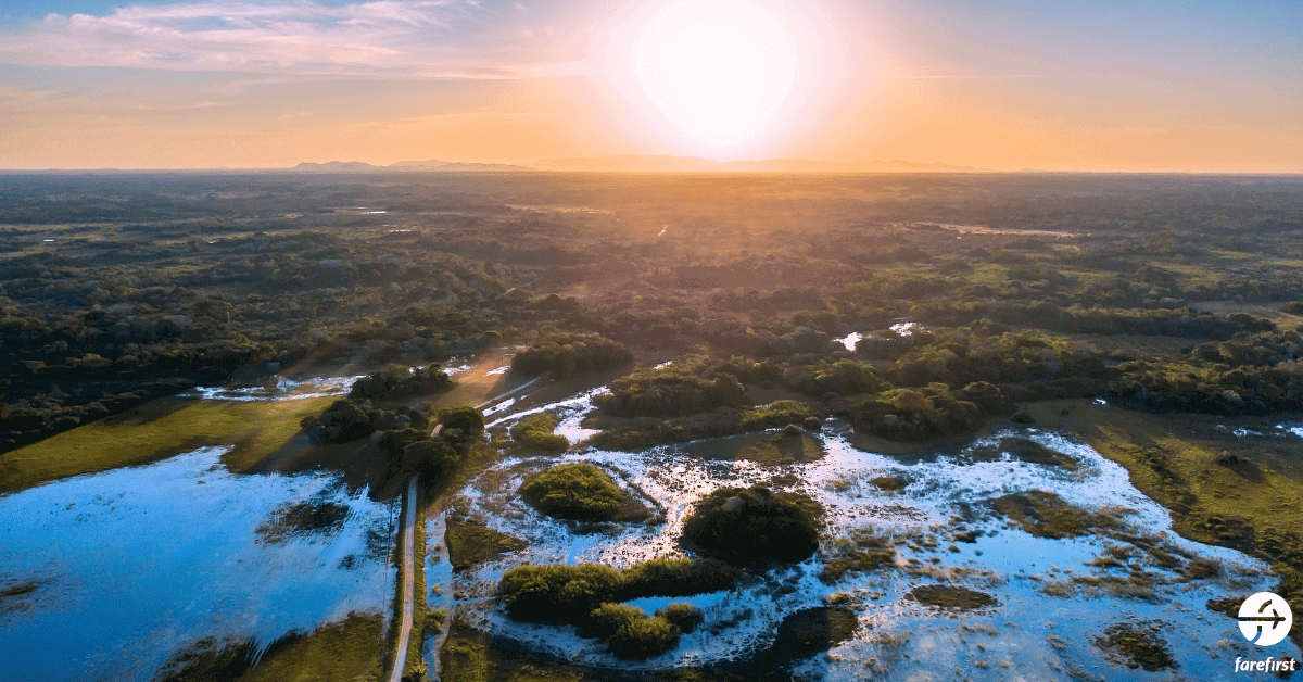 pantanal-the-worlds-largest-tropical-wetland