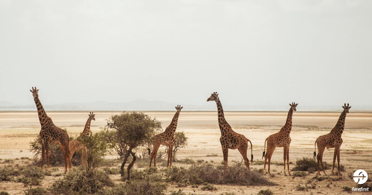 amboseli-national-park