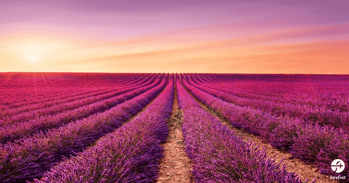 provence–fields-of-lavender-and-timeless-villages