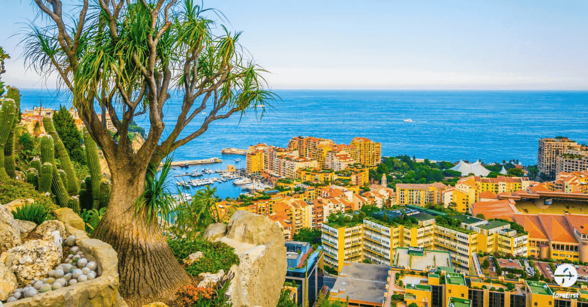 exotic-garden-of-monaco
