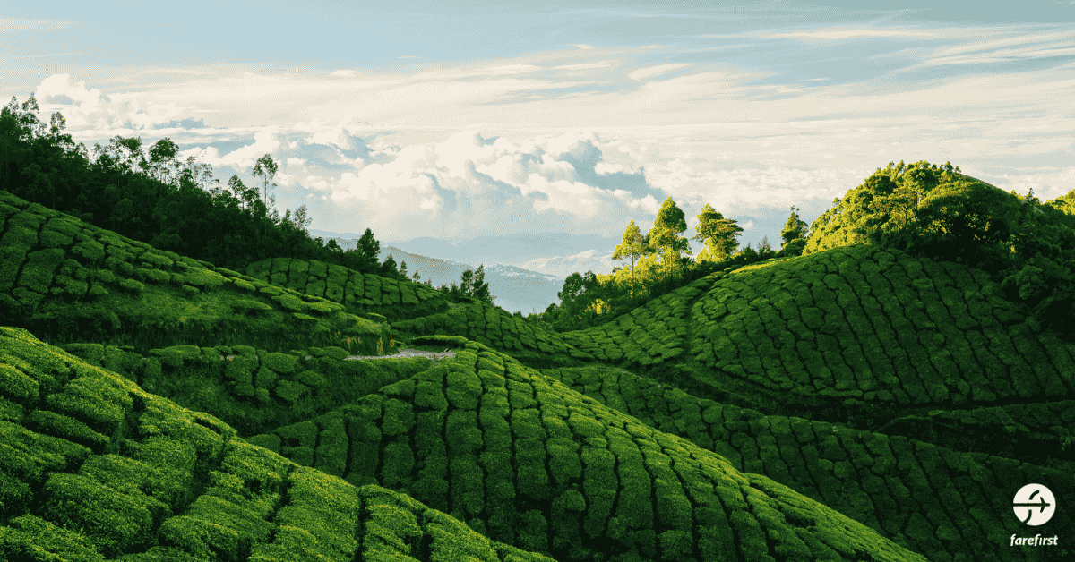 munnar-a-green-paradise-in-kerala