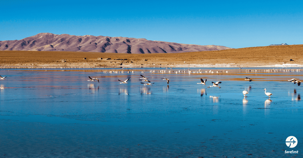 eduardo-avaroa-andean-fauna-national-reserve-nature-in-its-wildest-form